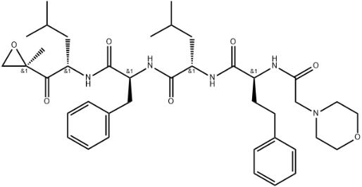 Carfilzomib